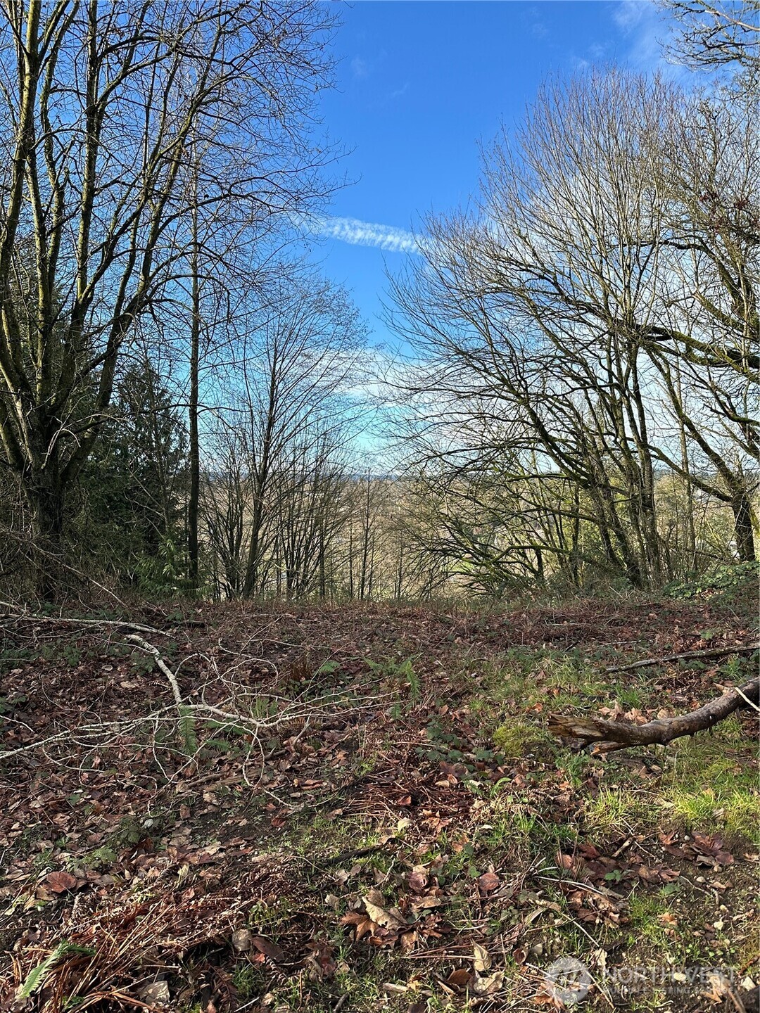 0 121st Avenue SE, Snohomish, WA 98290