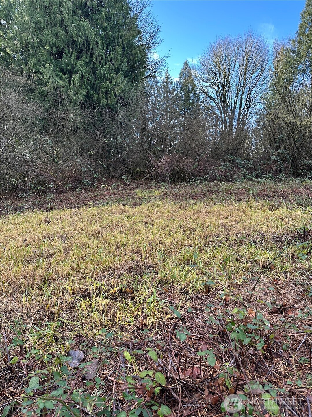 0 121st Avenue SE, Snohomish, WA 98290