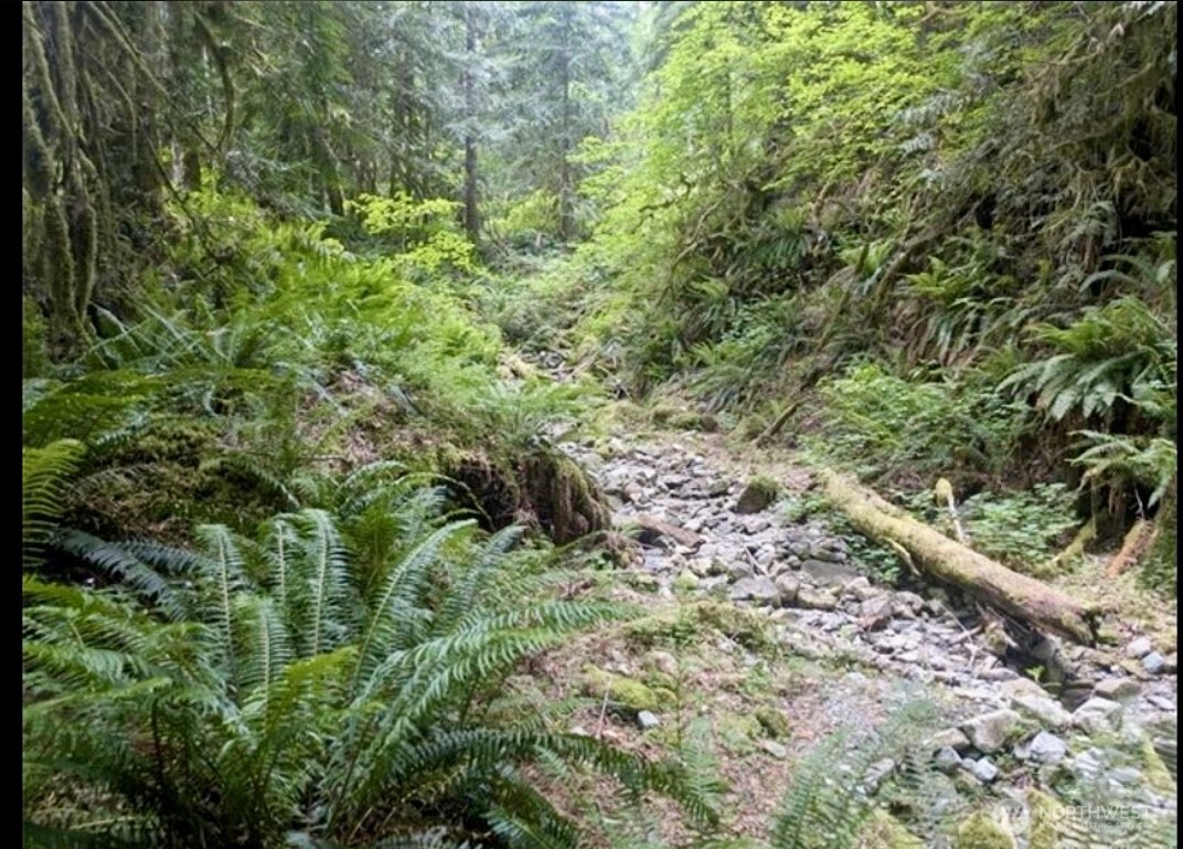 64315 Lookout Mountain Loop #170, Marblemount, WA 98267