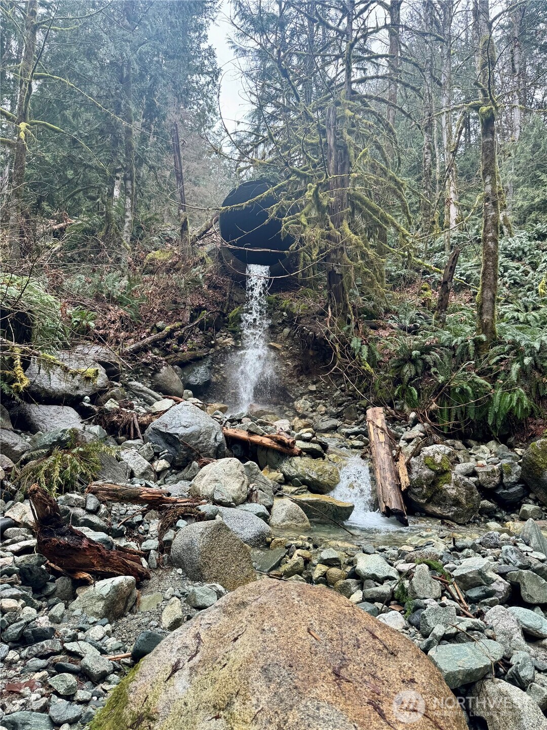 64315 Lookout Mountain Loop #170, Marblemount, WA 98267