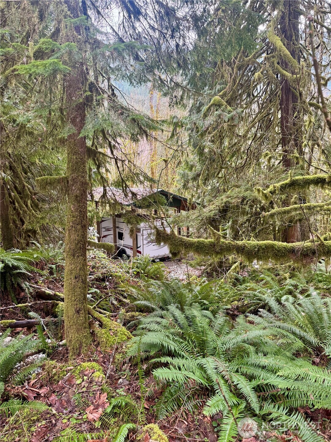 64315 Lookout Mountain Loop #170, Marblemount, WA 98267