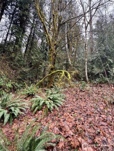 64315 Lookout Mountain Loop #170, Marblemount, WA 98267 - Photo 16