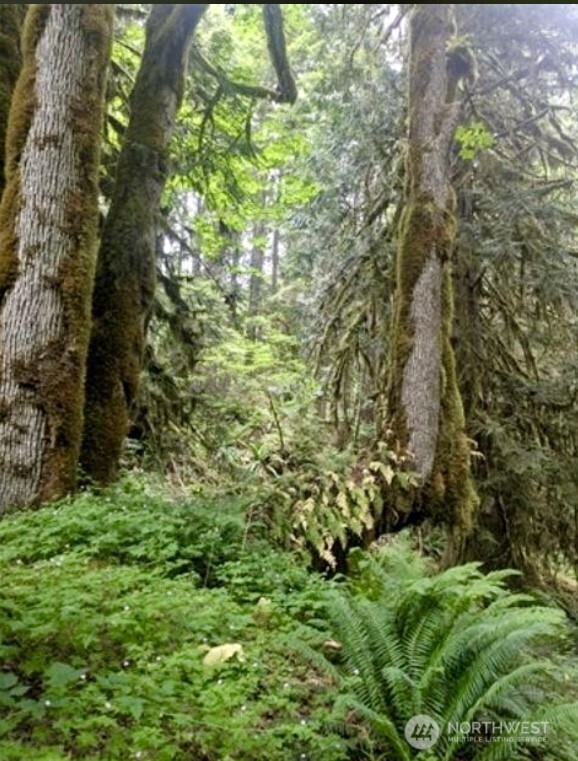 64315 Lookout Mountain Loop #170, Marblemount, WA 98267