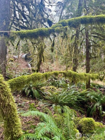 64315 Lookout Mountain Loop #170, Marblemount, WA 98267 - Photo 18