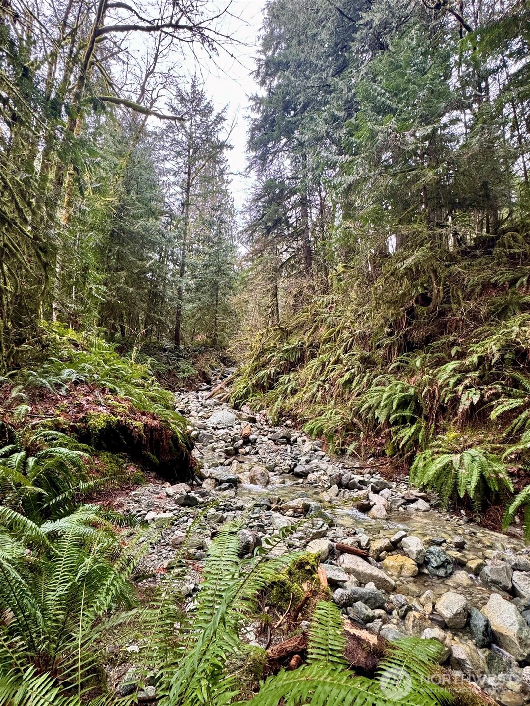 64315 Lookout Mountain Loop #170, Marblemount, WA 98267