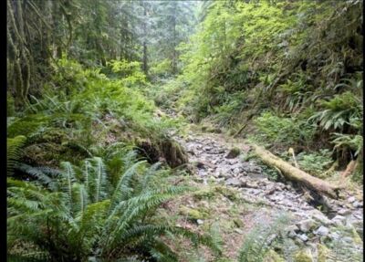 64315 Lookout Mountain Loop #170, Marblemount, WA 98267 - Photo 2