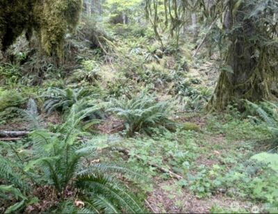 64315 Lookout Mountain Loop #170, Marblemount, WA 98267 - Photo 3