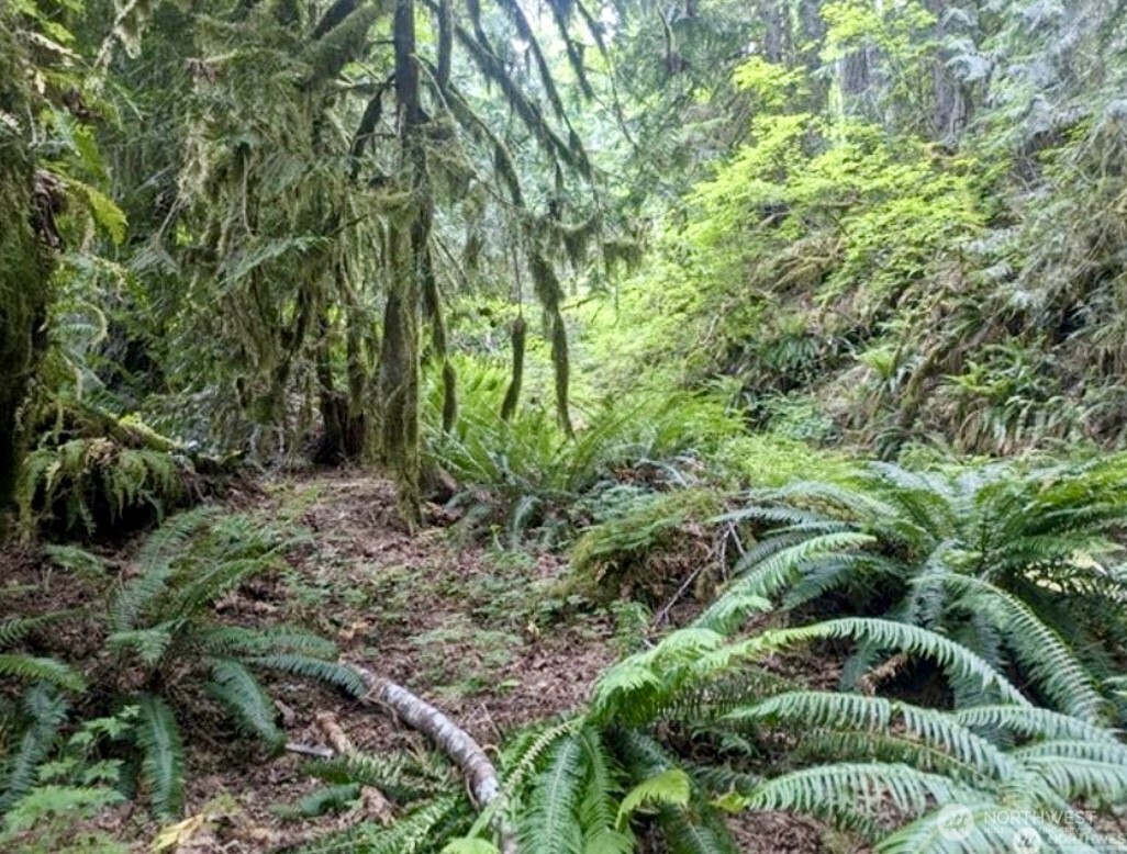 64315 Lookout Mountain Loop #170, Marblemount, WA 98267