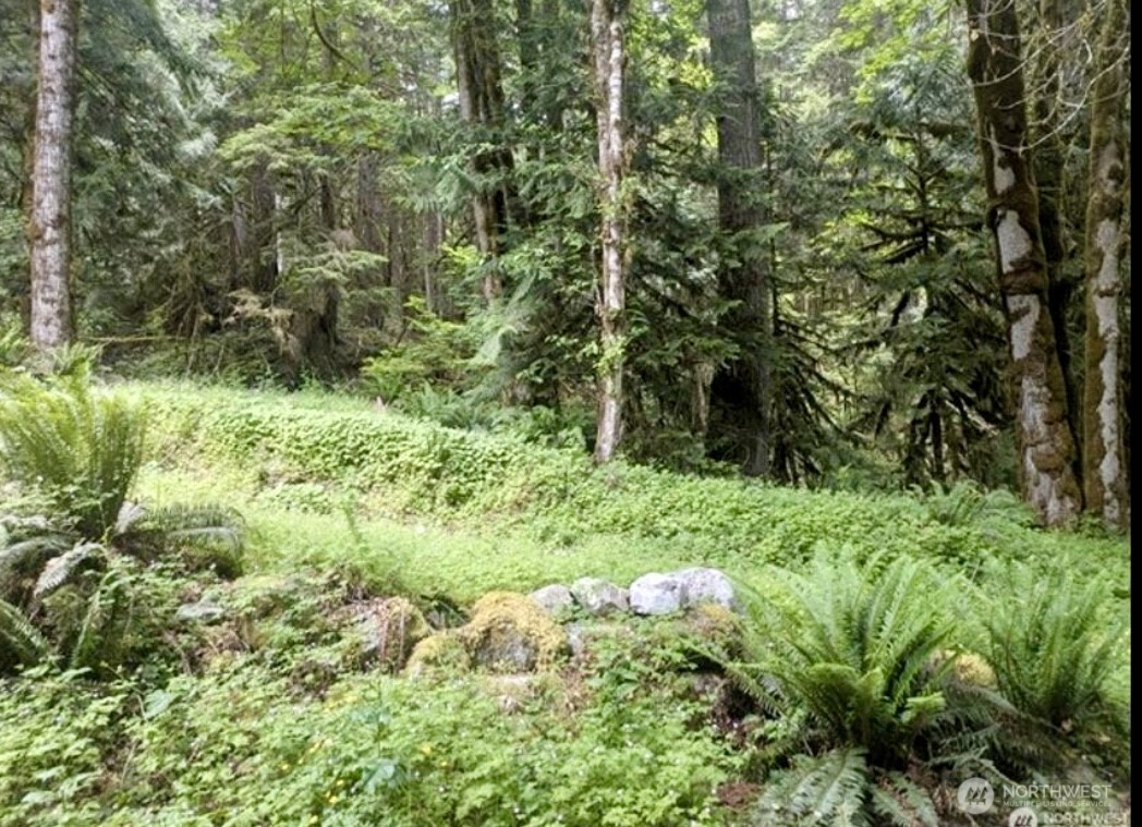 64315 Lookout Mountain Loop #170, Marblemount, WA 98267