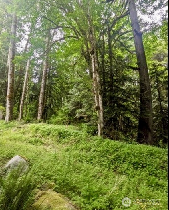 64315 Lookout Mountain Loop #170, Marblemount, WA 98267