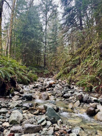 64315 Lookout Mountain Loop #170, Marblemount, WA 98267 - Photo 7