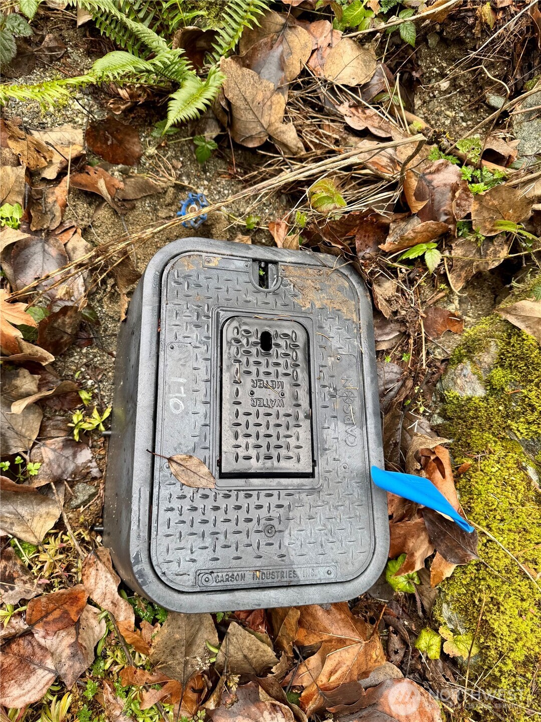 64315 Lookout Mountain Loop #170, Marblemount, WA 98267