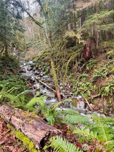 64315 Lookout Mountain Loop #170, Marblemount, WA 98267 - Photo 9