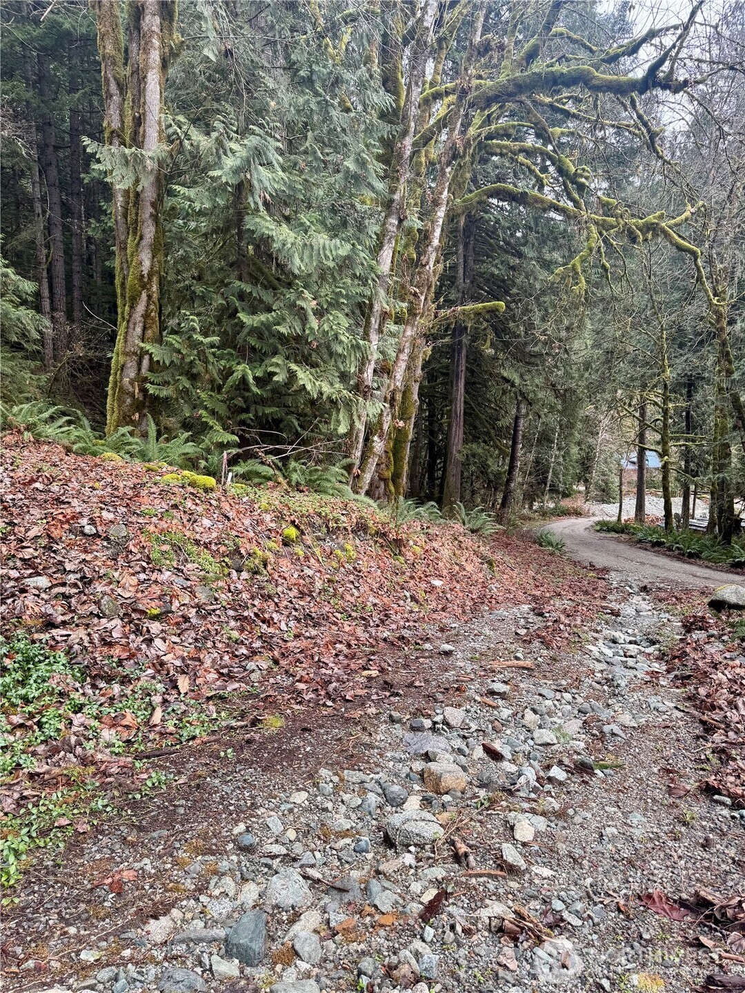 64315 Lookout Mountain Loop #170, Marblemount, WA 98267