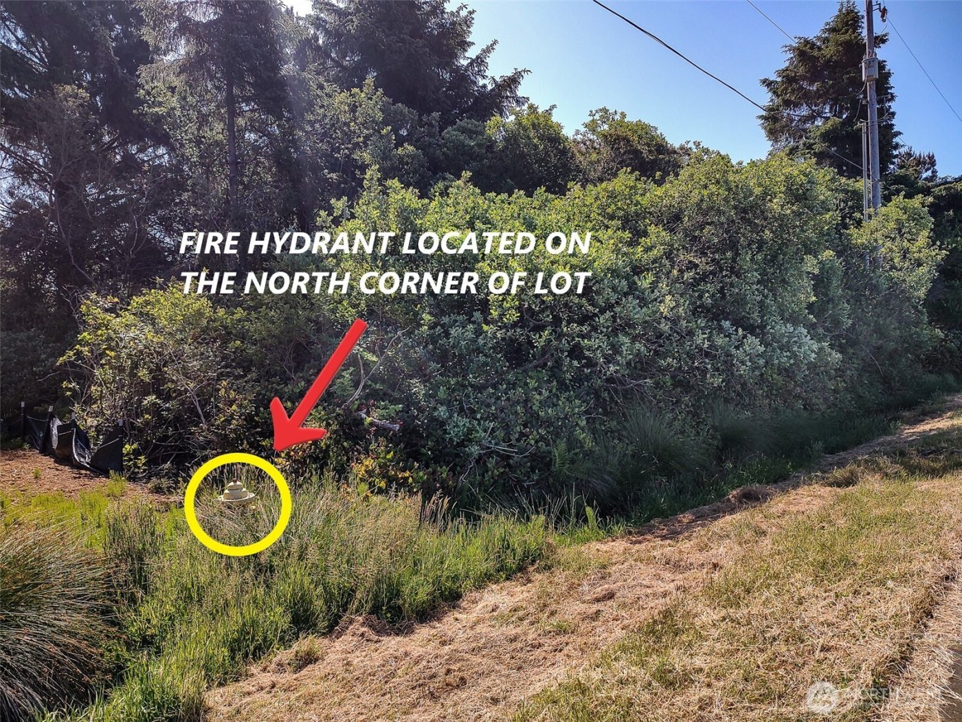 474 Volans Avenue SW, Ocean Shores, WA 98569