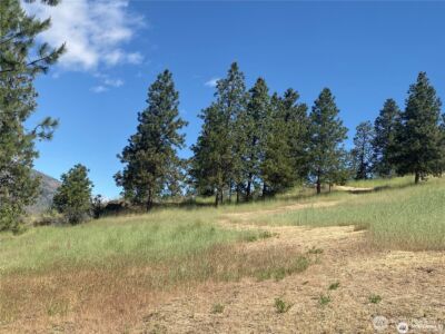 2524 Lakeshore Drive , Manson, WA 98831 - Photo 4