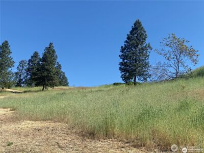 2524 Lakeshore Drive , Manson, WA 98831 - Photo 5