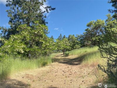2524 Lakeshore Drive , Manson, WA 98831 - Photo 6