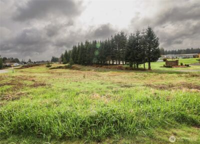 6 Grace Lane , Montesano, WA 98563 - Photo 2