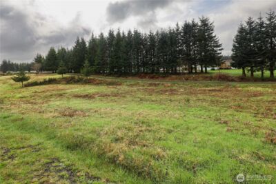 6 Grace Lane , Montesano, WA 98563 - Photo 6