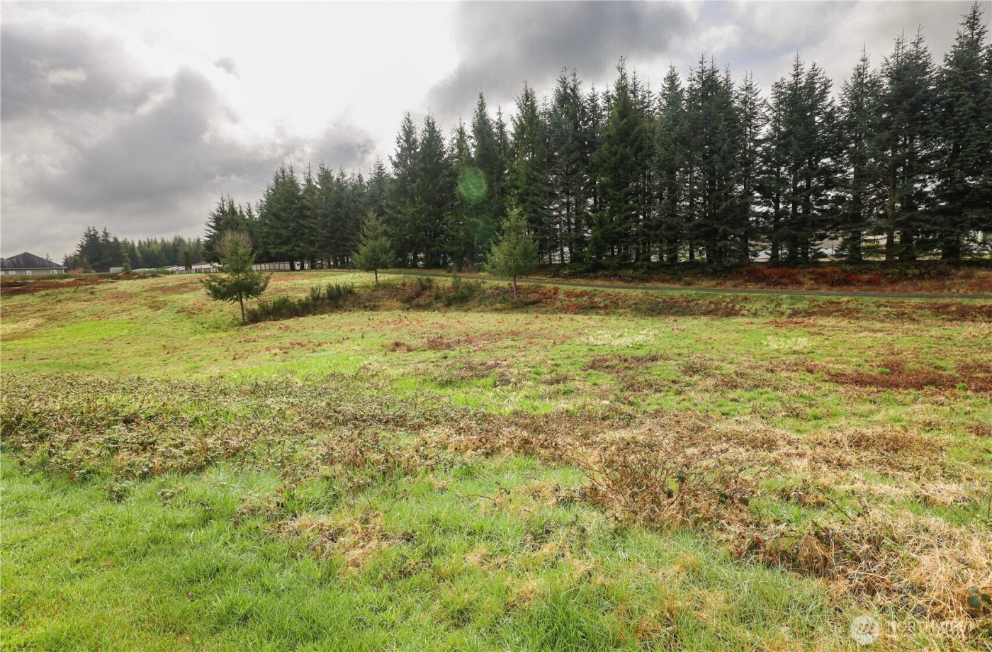 6 Grace Lane , Montesano, WA 98563