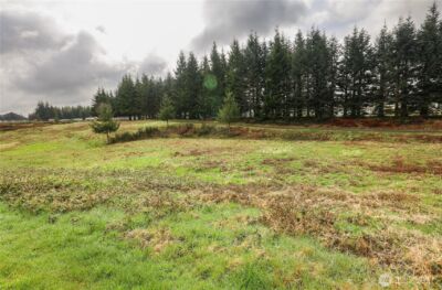 6 Grace Lane , Montesano, WA 98563 - Photo 8