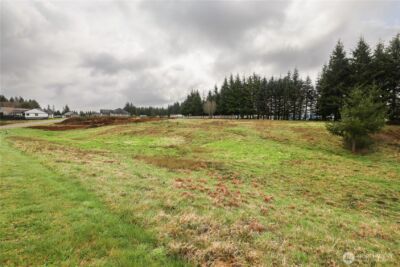 12 Grace Lane , Montesano, WA 98563 - Photo 2