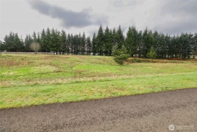 12 Grace Lane , Montesano, WA 98563 - Photo 4