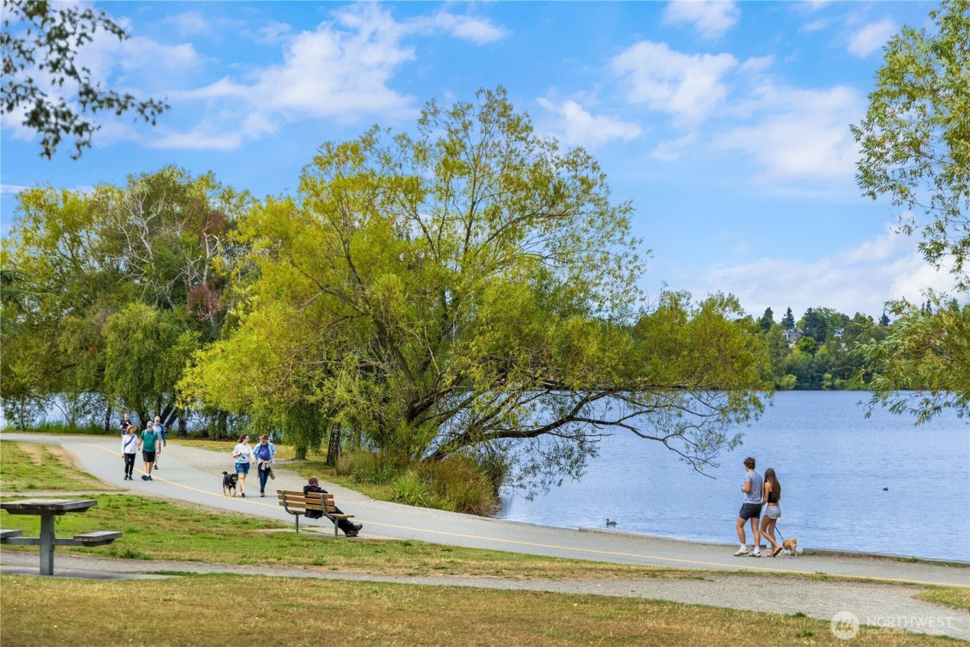 7439 Latona Avenue NE, Seattle, WA 98115