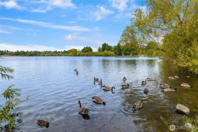 7439 Latona Avenue NE, Seattle, WA 98115 - Photo 29