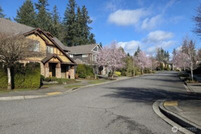 1716 250th Court SE, Sammamish, WA 98075 - Photo 35