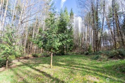 50 Raspberry Road , Elma, WA 98541 - Photo 18