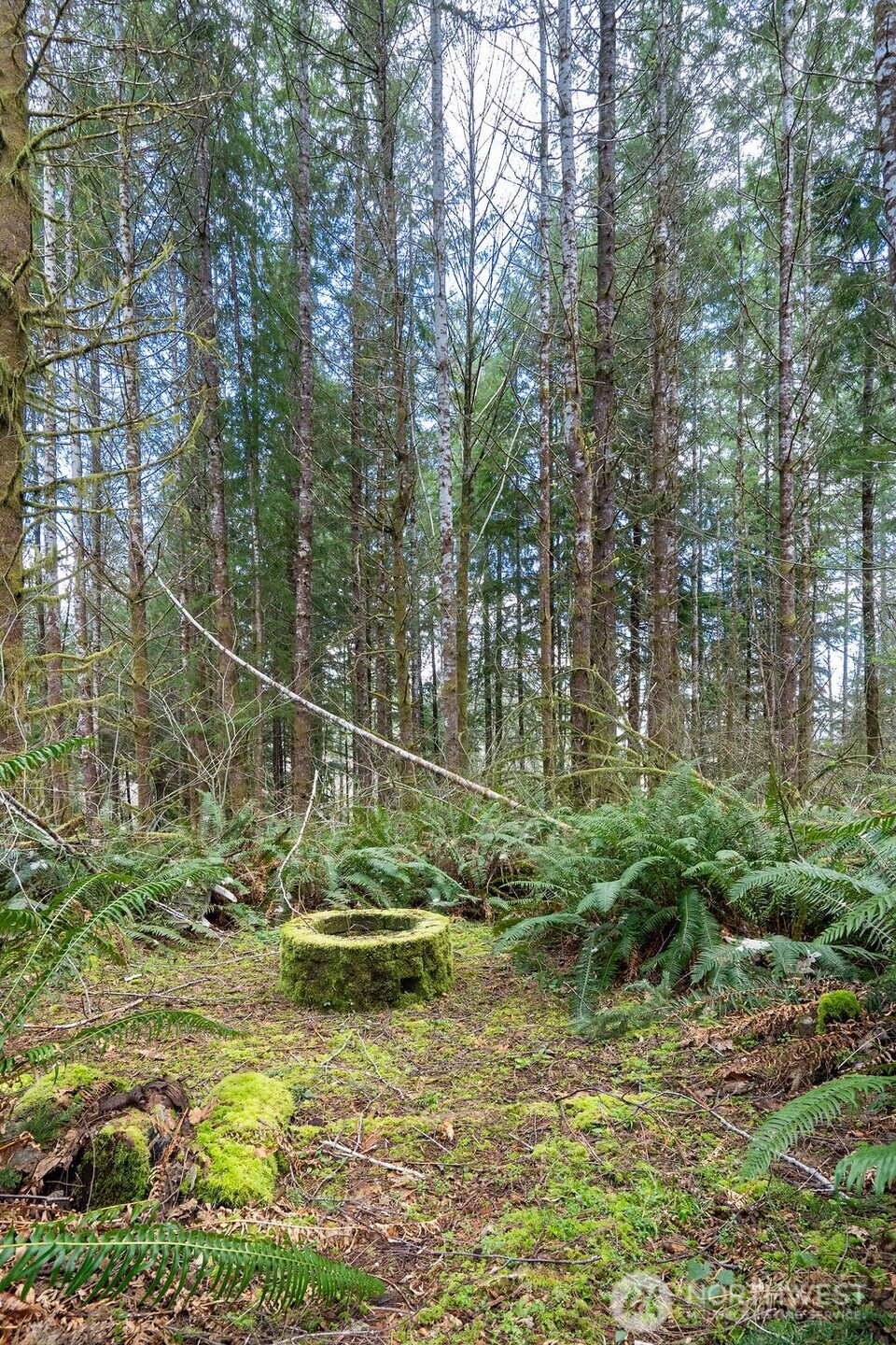 50 Raspberry Road , Elma, WA 98541