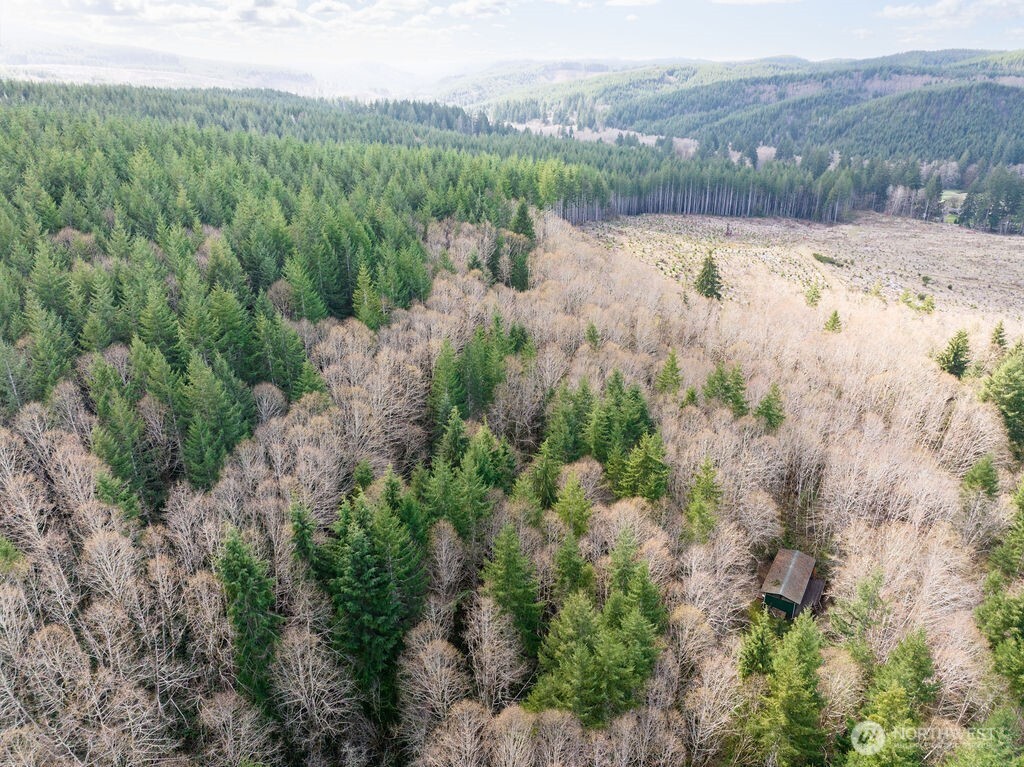 50 Raspberry Road , Elma, WA 98541