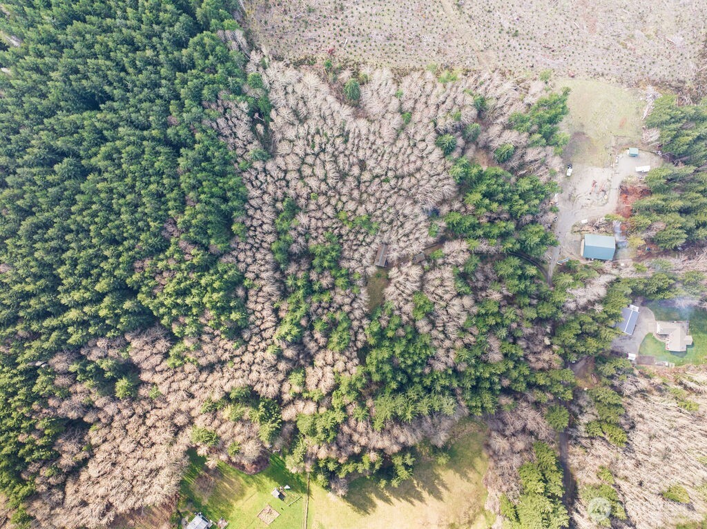 50 Raspberry Road , Elma, WA 98541