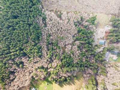 50 Raspberry Road , Elma, WA 98541 - Photo 22