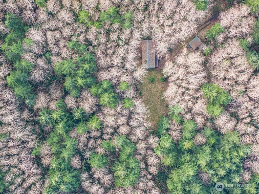 50 Raspberry Road , Elma, WA 98541