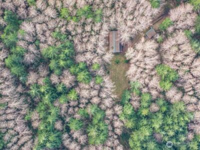 50 Raspberry Road , Elma, WA 98541 - Photo 23