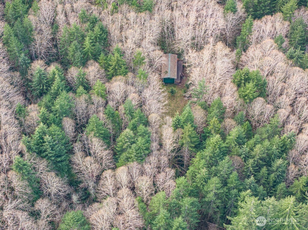 50 Raspberry Road , Elma, WA 98541