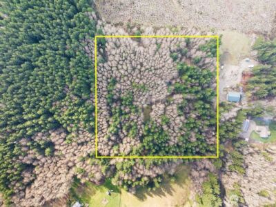 50 Raspberry Road , Elma, WA 98541 - Photo 5