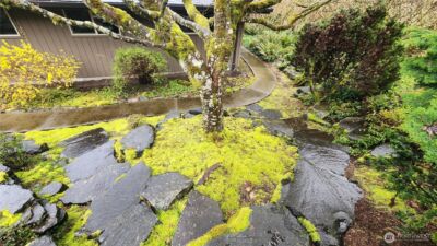 1233 Rogers Court SW, Olympia, WA 98502 - Photo 37