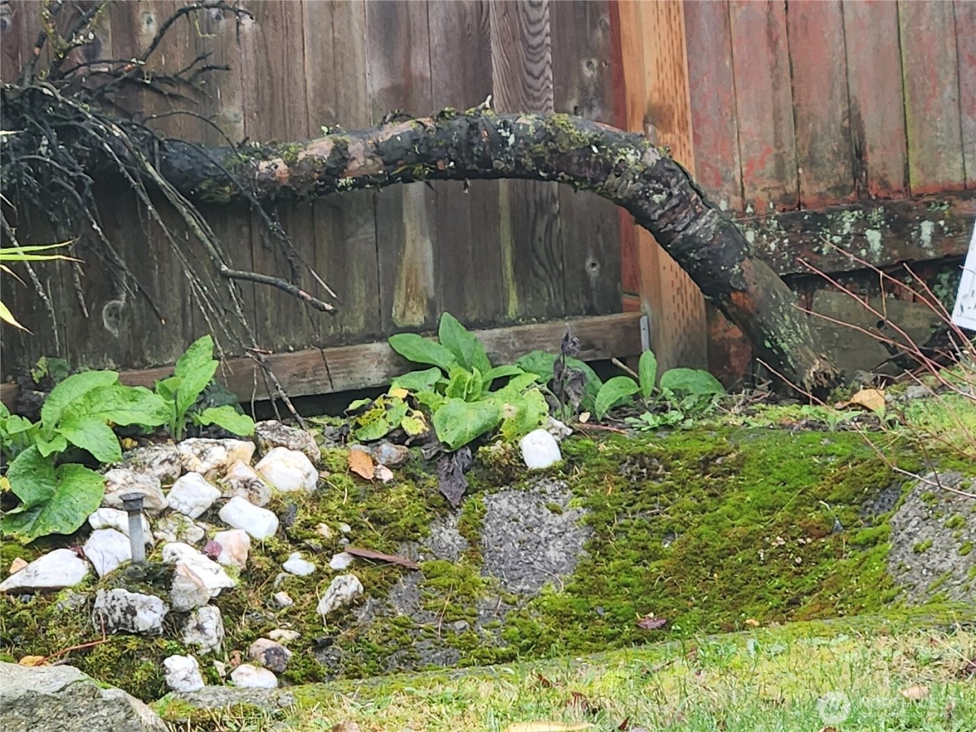 616 S 63rd St , Tacoma, WA 98408