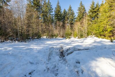 0 Firestation Avenue NW, Seabeck, WA 98380 - Photo 11