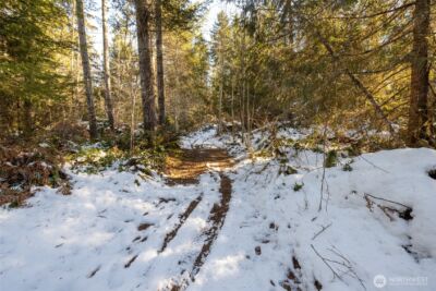 0 Firestation Avenue NW, Seabeck, WA 98380 - Photo 15