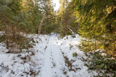 0 Firestation Avenue NW, Seabeck, WA 98380 - Photo 16