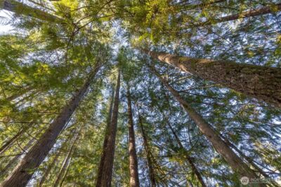 0 Firestation Avenue NW, Seabeck, WA 98380 - Photo 18