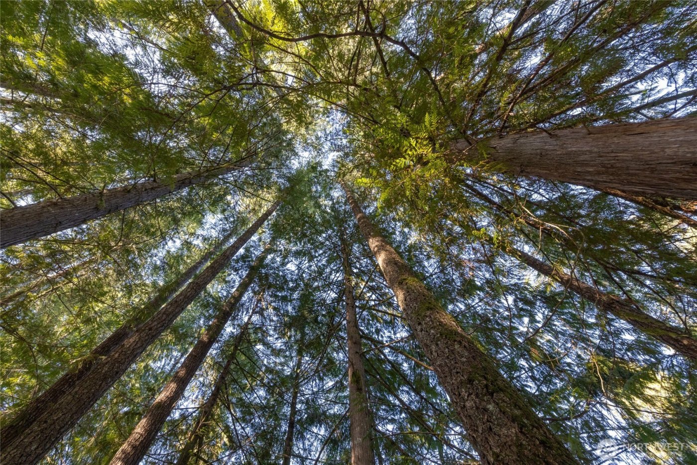 0 Firestation Avenue NW, Seabeck, WA 98380