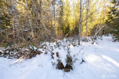 0 Firestation Avenue NW, Seabeck, WA 98380 - Photo 4