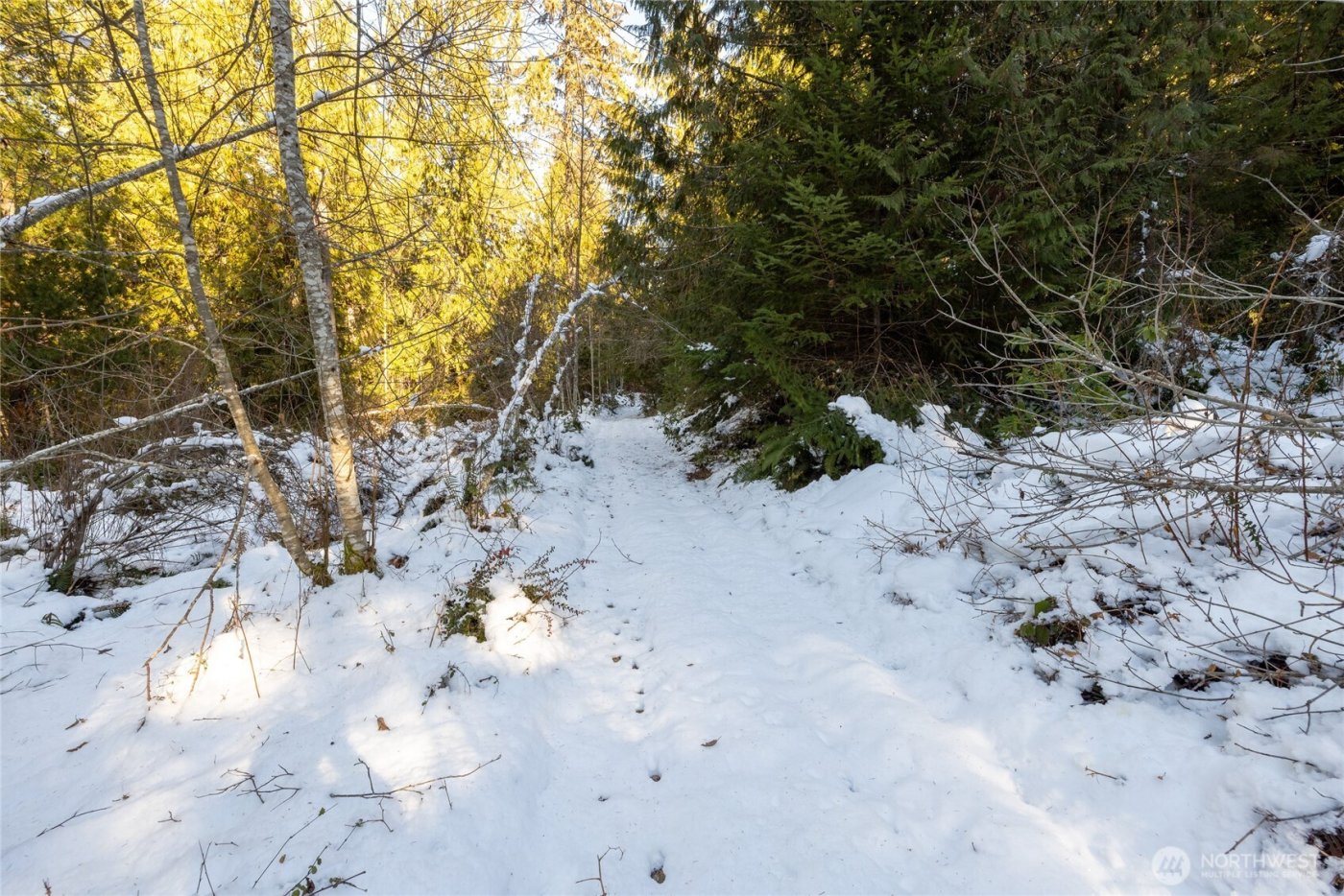 0 Firestation Avenue NW, Seabeck, WA 98380