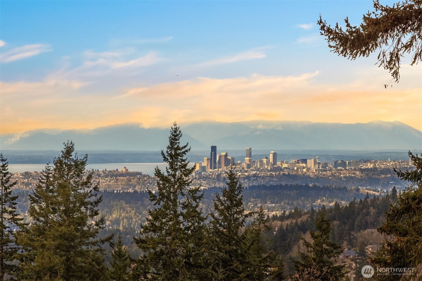 6981 171st Court SE, Bellevue, WA 98006-5038